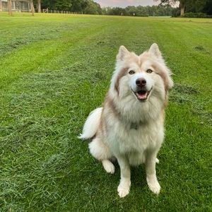 Meet your Posher, James